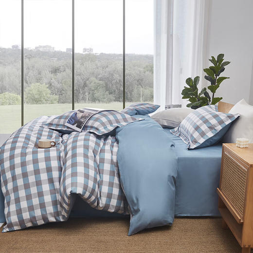 红蜻蜓亲肤棉床上四件套小清新床上田园风床单被套学生宿舍无印系列四件套-巴克曼 被套200*230cm 商品图4