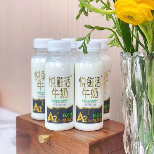 【悦鲜活A2β酪蛋白牛奶】奶味超浓❗巨巨巨好喝  🥛荣获国际美味顶级大奖，品质认证营养低温鲜奶·奶源稀缺，奶中贵族  天猫，⁠京东和线下便利店同款 商品图6