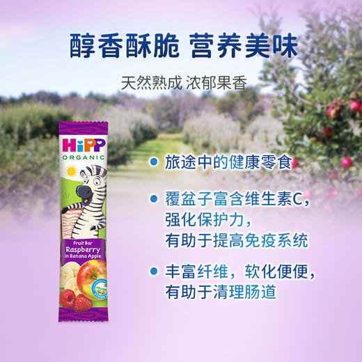 （新品）【香港直邮】喜寶HiPP 有機水果能量棒6条/箱 商品图2