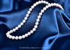 【淡雅】淡水珍珠项链-ZZ240601901 商品缩略图0
