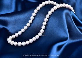【淡雅】淡水珍珠项链-ZZ240601901