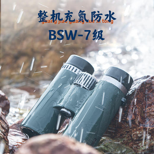 博冠（BOSMA）瑞鹤10X42ED望远镜高倍高清专业级双筒观鸟镜手机拍照微光夜视望远镜 商品图4