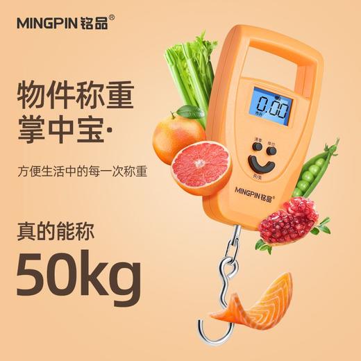 迷你称手提秤50KG电子秤家用吊钩精准称重100斤快递称弹簧称 商品图0