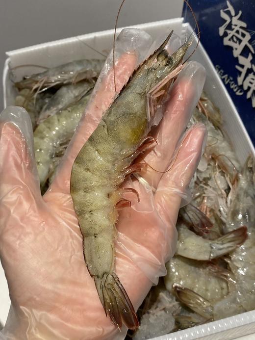 盐冻海捕青岛大虾  不包冰 不缩水  Q弹紧实 商品图3