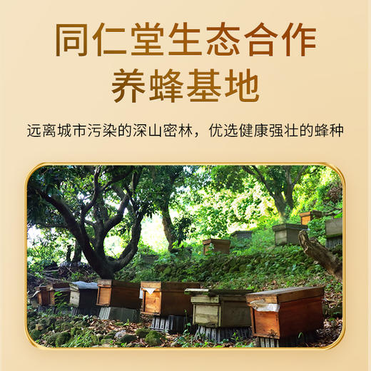 【正宗同仁堂品牌】北京同仁堂 蜂蜜420克 清香怡人 纯蜂蜜拒绝添加掺杂 浓稠滋补 便携小瓶装挤压不沾手SY 商品图2