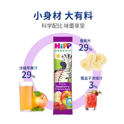 （新品）【香港直邮】喜寶HiPP 有機水果能量棒6条/箱 商品图3