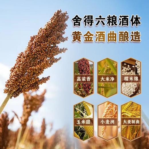 【双锦】舍得六粮特级《乘龙御天》2024龙年定制酒黄色版52%VOL 500ml/瓶 商品图3