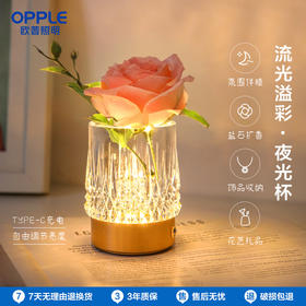 OPPLE欧普照明夜光杯充电小夜灯收纳香薰水晶床头灯花瓶装饰摆件ins