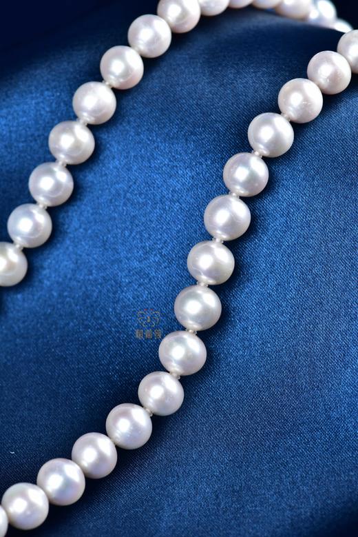 【淡雅】淡水珍珠项链-ZZ240601901 商品图1