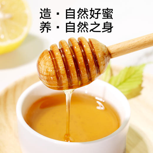 北京同仁堂 造养青年 蜂蜜-500克 漏斗型瓶装 原料纯粹 拒绝添加 便携易使用SY 商品图4