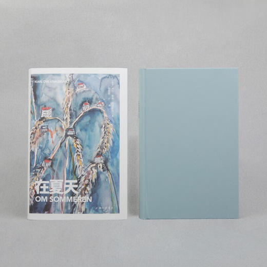 在夏天（挪威）卡尔·奥韦·克瑙斯高 著 商品图2