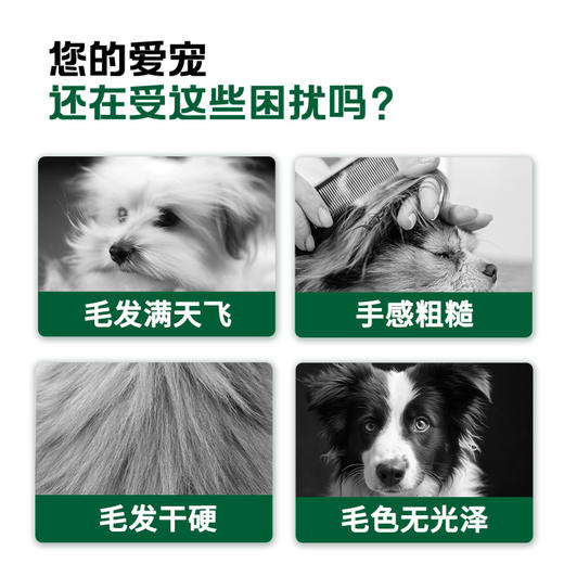 【雷米高】活力果全价全期犬粮肉蛋果蔬五拼主粮正品大袋成犬冻干狗粮 商品图4