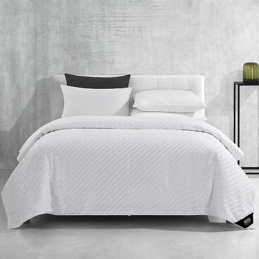 HUGO BOSS 提花LOGO桑蚕丝被 HBCS-008 商品图0