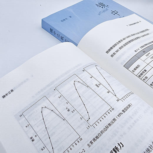 镜中之我：中国社会结构的主观视界 商品图7