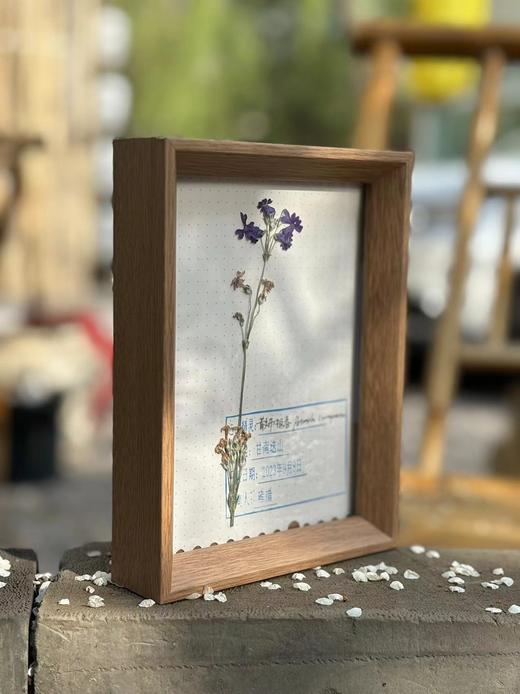 【迭山百年探险考察录】自然博物书籍礼盒套装 商品图1