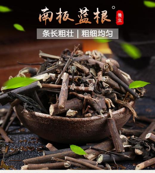 板蓝根 常用规格 当季新货 中药材 商品图6