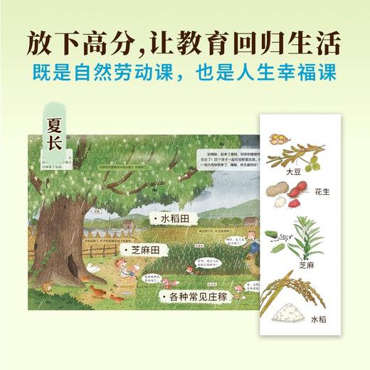 【狐狸家专场】《自然劳动课》 4册 商品图2