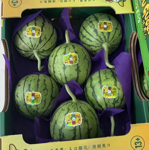 爆甜手撕小糖丸西瓜，甜度报表，肉质脆嫩的迷你麒麟瓜，一人一只 毫无压力，超好吃的西瓜🍉 商品图2