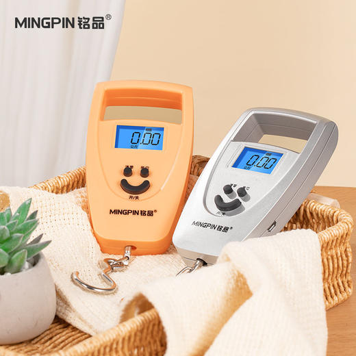 迷你称手提秤50KG电子秤家用吊钩精准称重100斤快递称弹簧称 商品图1