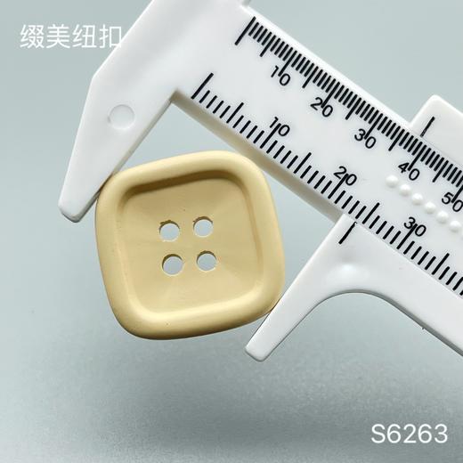 S6263(整包购买) 商品图4