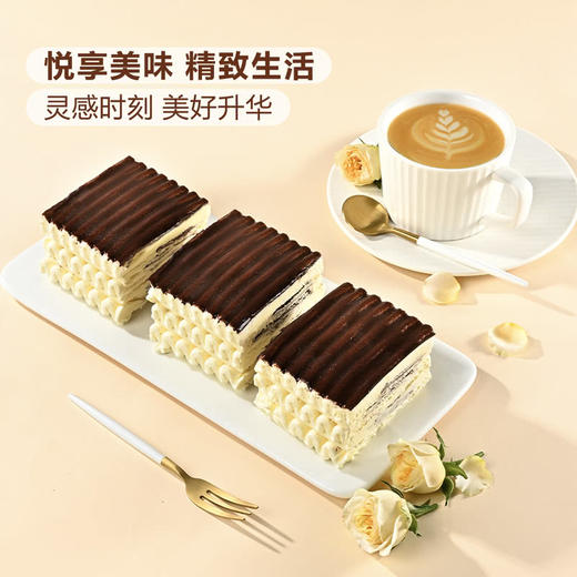 MM 山姆 Member's Mark 西班牙进口 香草可可味冰淇淋 1.05kg（525g*2） 商品图4