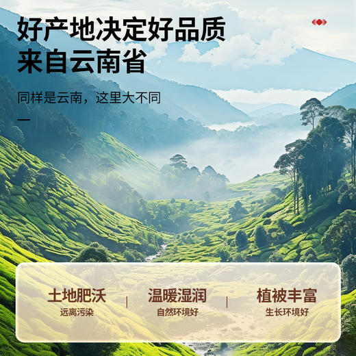 【正宗同仁堂品牌】北京同仁堂 青源堂 土茯苓-150克云南原产地 汤色自然 清香微甜SY 商品图4