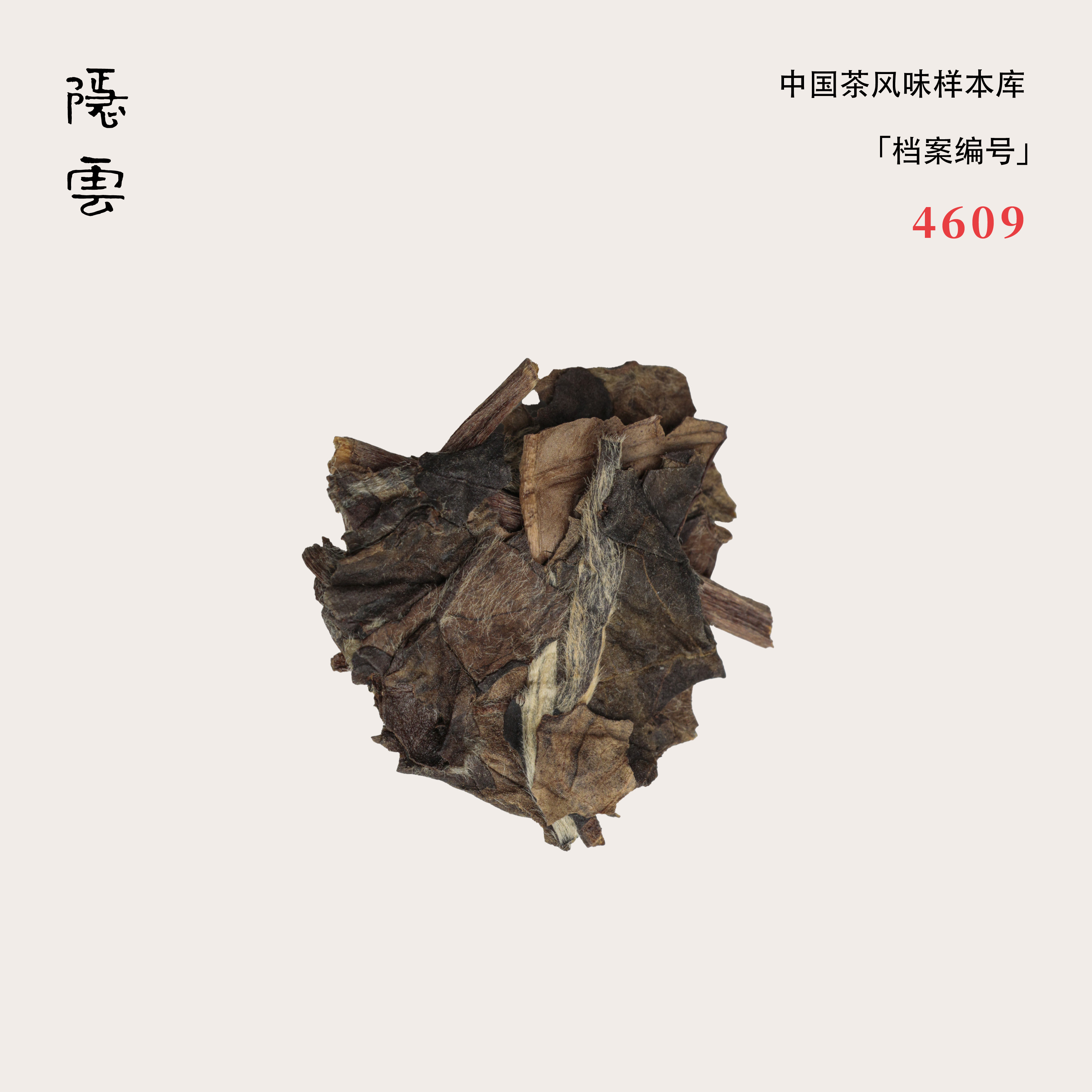 澄秋｜2014年寿眉