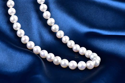 【淡雅】淡水珍珠项链-ZZ240601901 商品图4