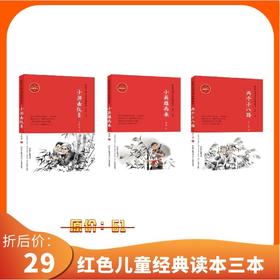 红色儿童文学经典读本小英雄雨来两个小八路小游击队员