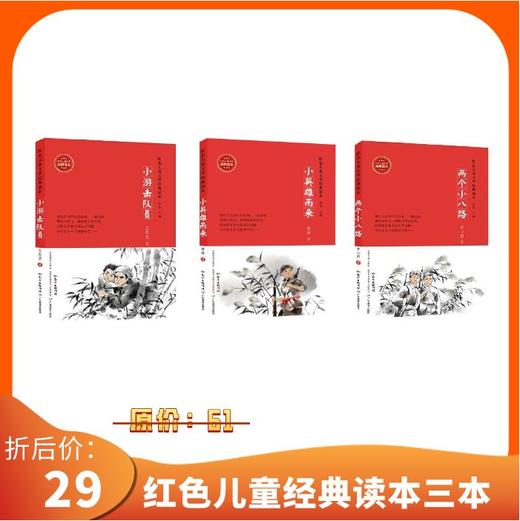 红色儿童文学经典读本小英雄雨来两个小八路小游击队员 商品图0