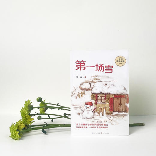 第一场雪：课文作家作品，小学语文教材同步配套读物（五年级上册）(峻青) 商品图1