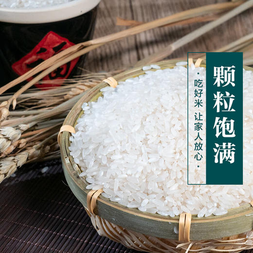 食分碗美五常米/东北长粒香  15斤/20斤 商品图5
