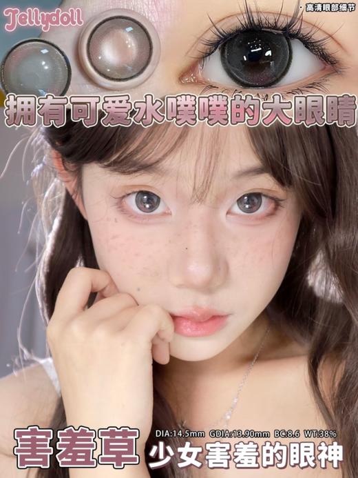 Jellydoll 半年抛 山茶花/害羞草/秘境蓝 14.5mm 巧棕/黑紫/蓝 拍下即为一副两片 商品图3