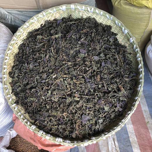 紫苏叶  紫苏梗  苏叶 商品图0