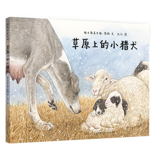 十二只小狗+草原上的小猎犬+纽扣士兵（3册） 商品图1