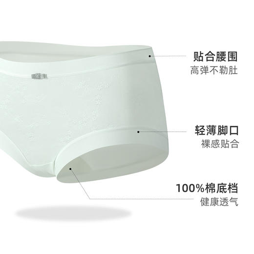 【3条装】熳洁儿 中腰无痕内裤夏季超薄透气提花纯棉底档24252107 商品图1