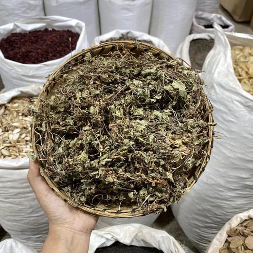 马蹄草  积雪草 商品图0