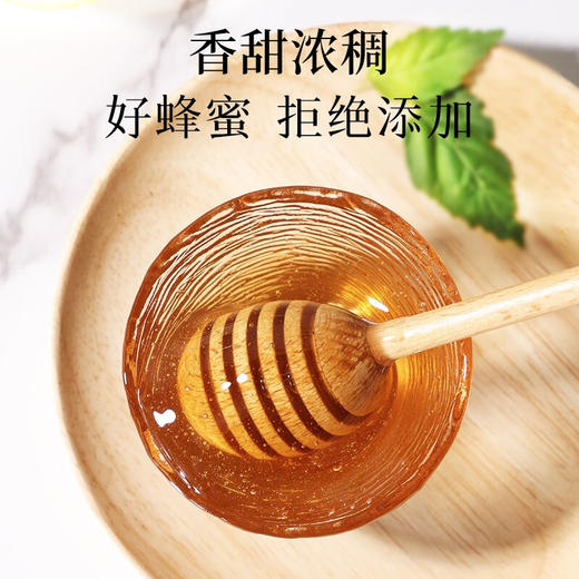 【正宗同仁堂品牌】北京同仁堂 荆条蜂蜜420克 清香怡人 纯蜂蜜拒绝添加掺杂 浓稠滋补 便携小瓶装挤压不沾手SY 商品图2