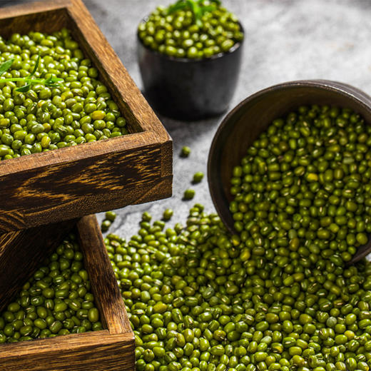 五谷杂粮   绿豆  400g*3袋 商品图3