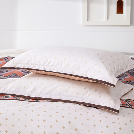 红蜻蜓亲肤棉床上四件套小清新床上田园风床单被套学生宿舍-典藏 被套200*230cm 商品图3