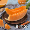 【预售，预计7.5日左右开始发货】阿拉善生态蜜瓜（基地直发-顺丰包邮） | 来自内蒙古阿拉善致良田，生产者：马彦伟，【合作生产，公平贸易】 商品缩略图3