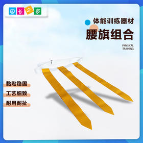 体能感统训练器材腰旗组合追逐飘带
