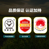 食分碗美五常米/东北长粒香  15斤/20斤 商品缩略图4