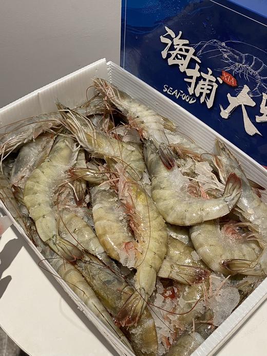 盐冻海捕青岛大虾  不包冰 不缩水  Q弹紧实 商品图1