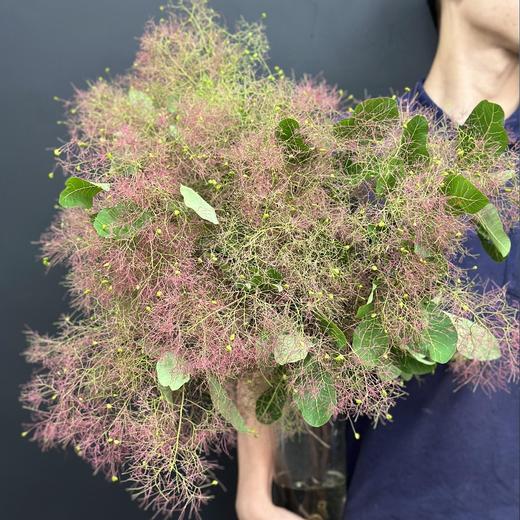 精选雾中情人鲜花1扎 商品图3