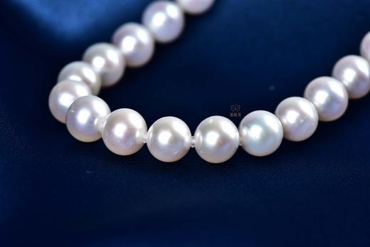 【淡雅】淡水珍珠项链-ZZ240601901 商品图2