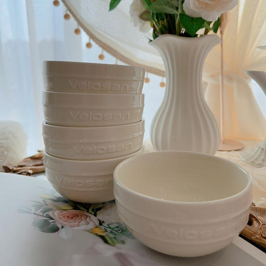 【精美礼盒餐具】德国velosan温仑山松露白餐具绝美上线雅致米饭碗 商品图1