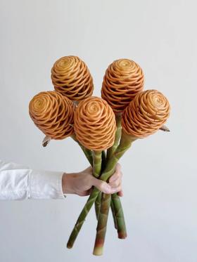 荷兰进口高端花材小熊维尼蜂蜜棒香波姜