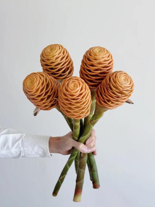 荷兰进口高端花材小熊维尼蜂蜜棒香波姜 商品图0