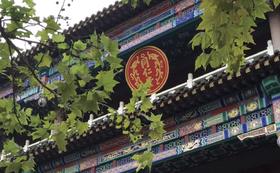  连锁中医医养机构提交IPO上市，多家中医馆品牌布局银发健康，释放哪些信号？ 